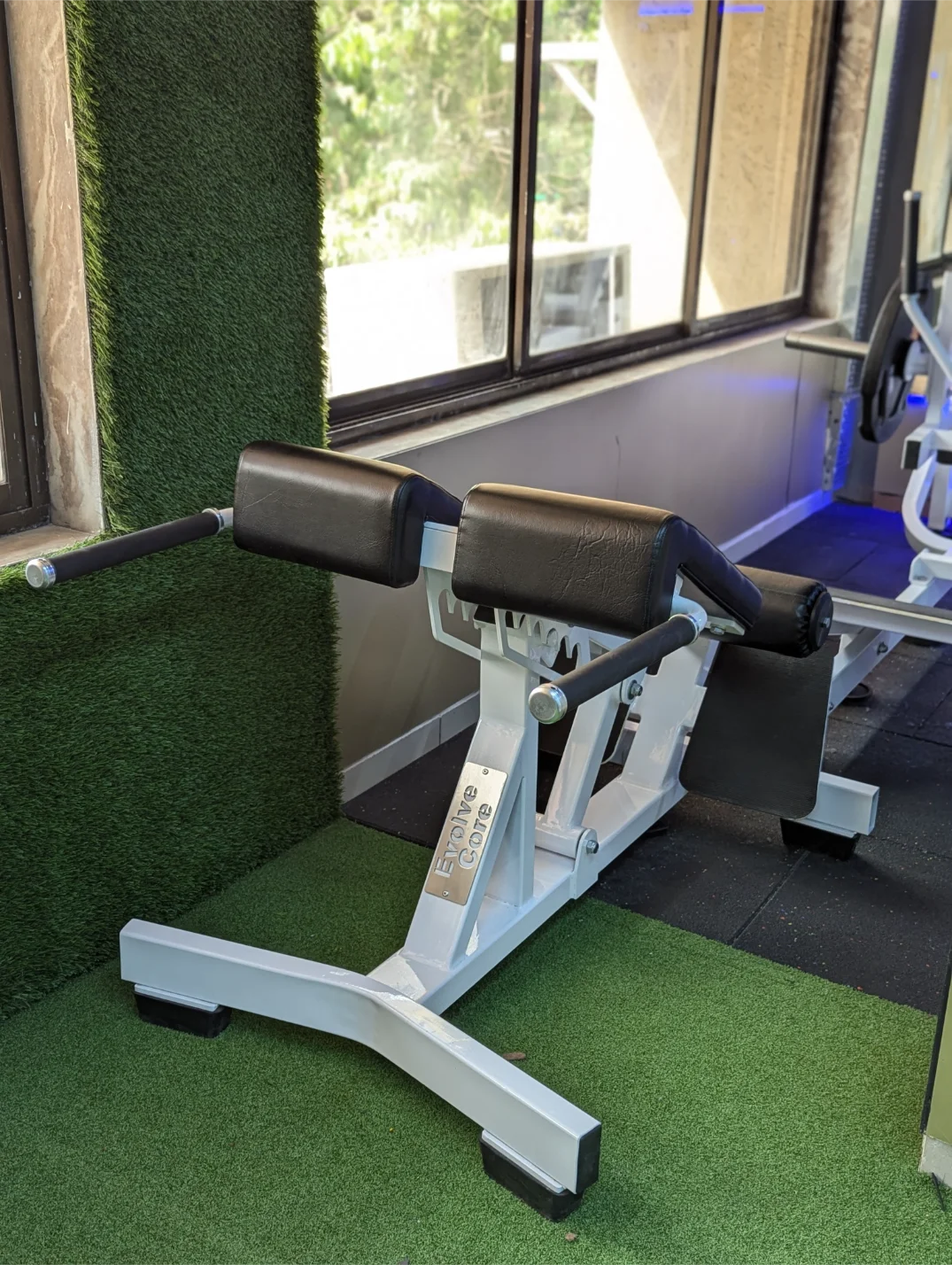 Lateral Raise Machine