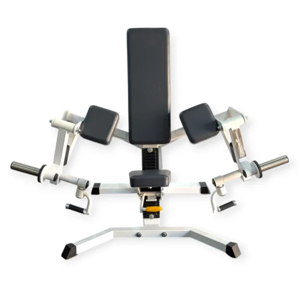 PL 10 Iso Lateral Bicep Curl 2