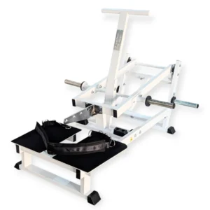PL 12 Belt Squat 1