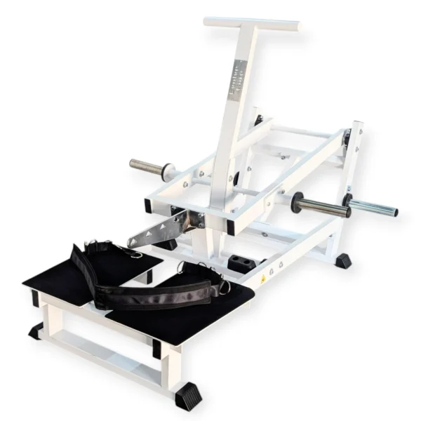 PL 12 Belt Squat 1