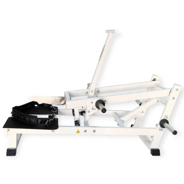 PL 12 Belt Squat 2