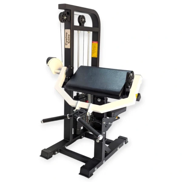 Preacher Curl