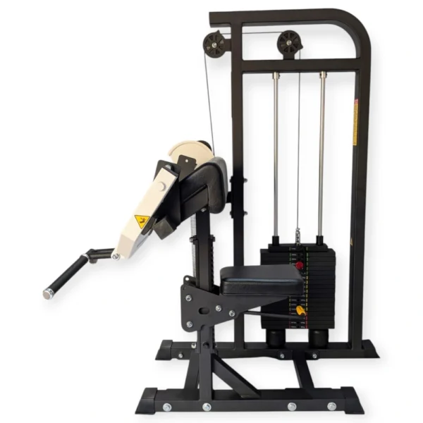 Preacher Curl - Image 3