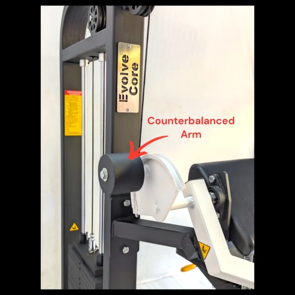 Preacher Curl - Image 4