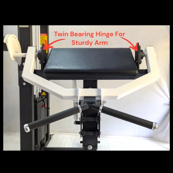 Preacher Curl - Image 5