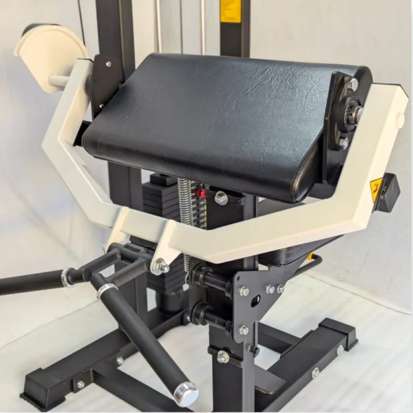 Preacher Curl - Image 6