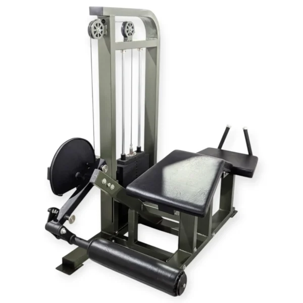 SL 02 Prone Leg Curl 1