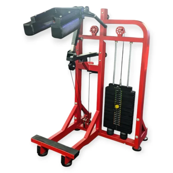 SL 04 Standing Calf