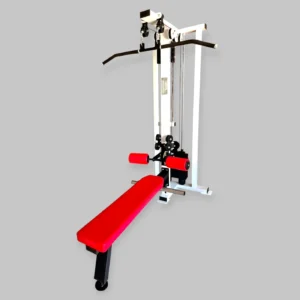 SL 06 B Lat Pull Seated Row Dual Pulley