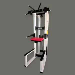 SL 12 Assisted Chin Up Parellel Bar