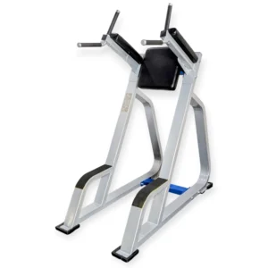 Parallel Bar/Leg Raises Stand