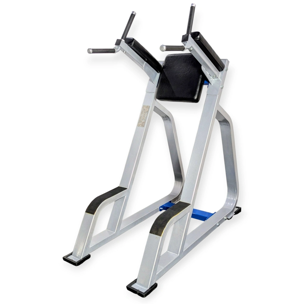 Parallel Bar/Leg Raises Stand