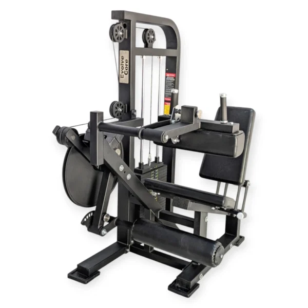 Seated Leg Extension Curl Combo 1