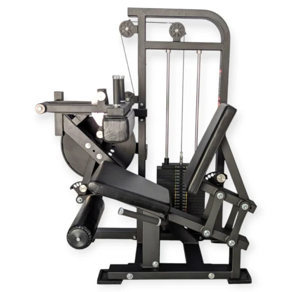Seated Leg Extension Curl Combo 3