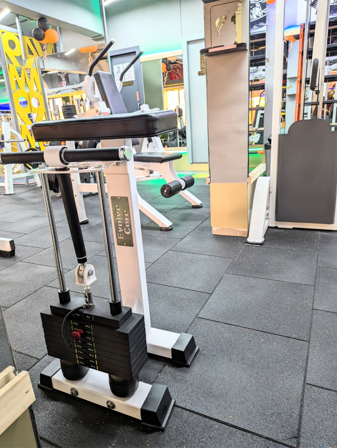 Standing Calf Raise Machine