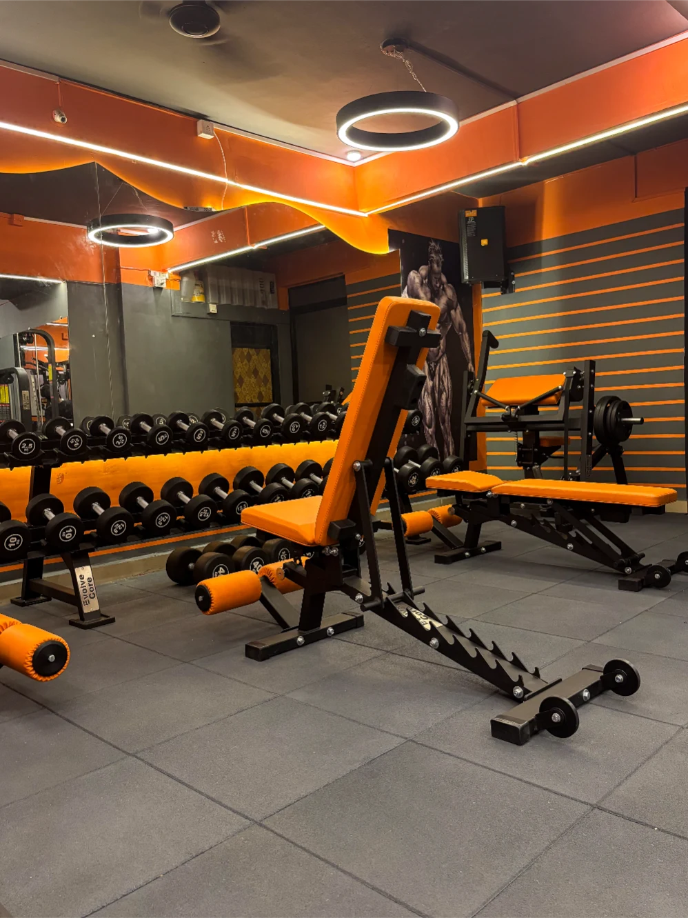 full-commercial-gym-setup