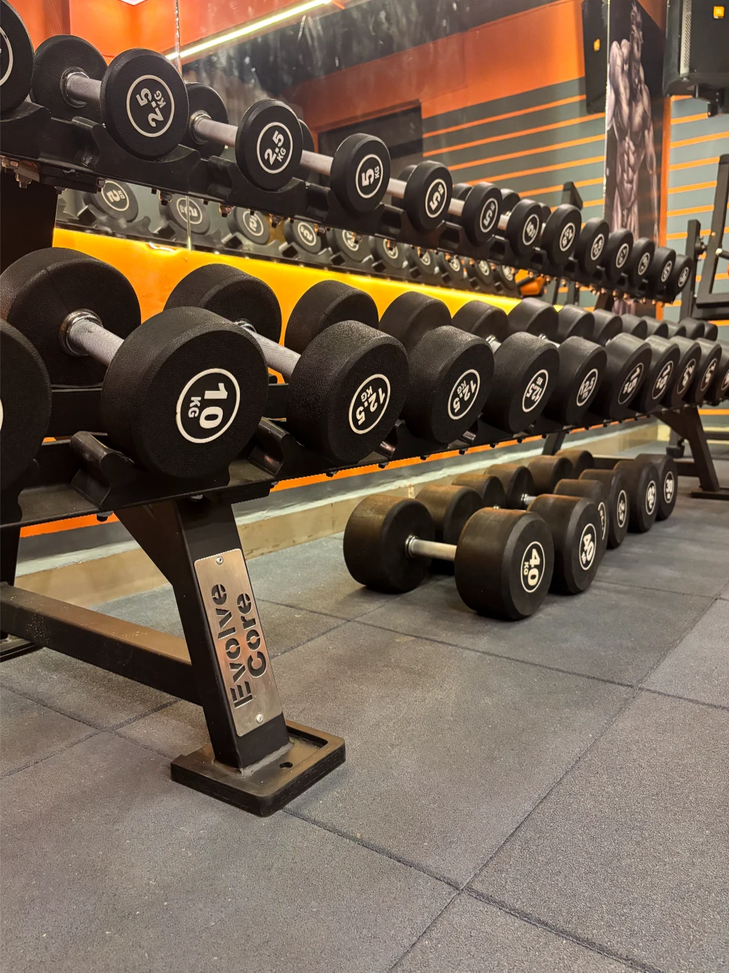 power-rack-and-barbells-section