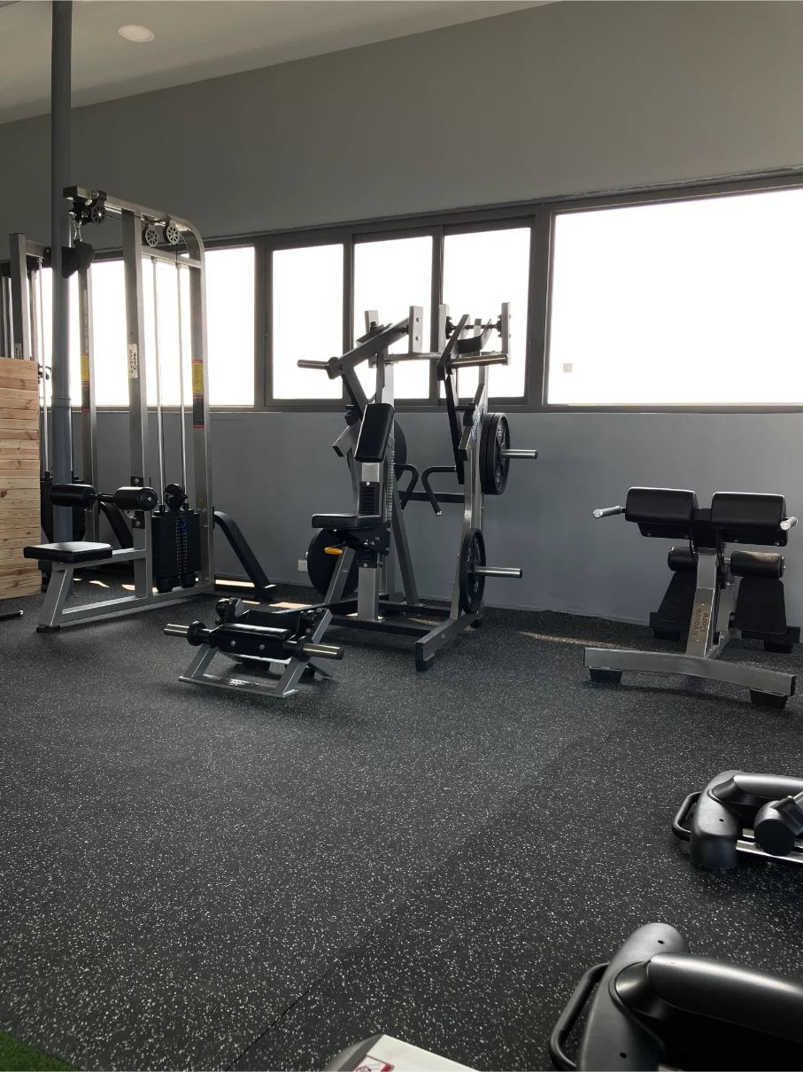 premium-flat-bench