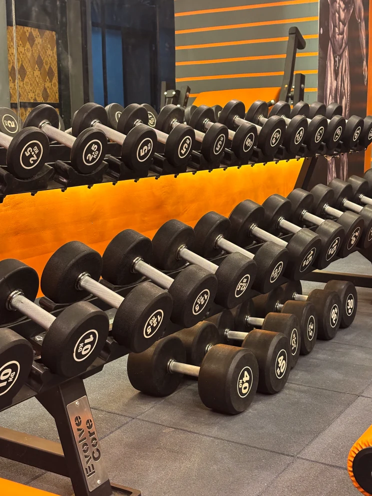 strength-fitness-dumbell-rack
