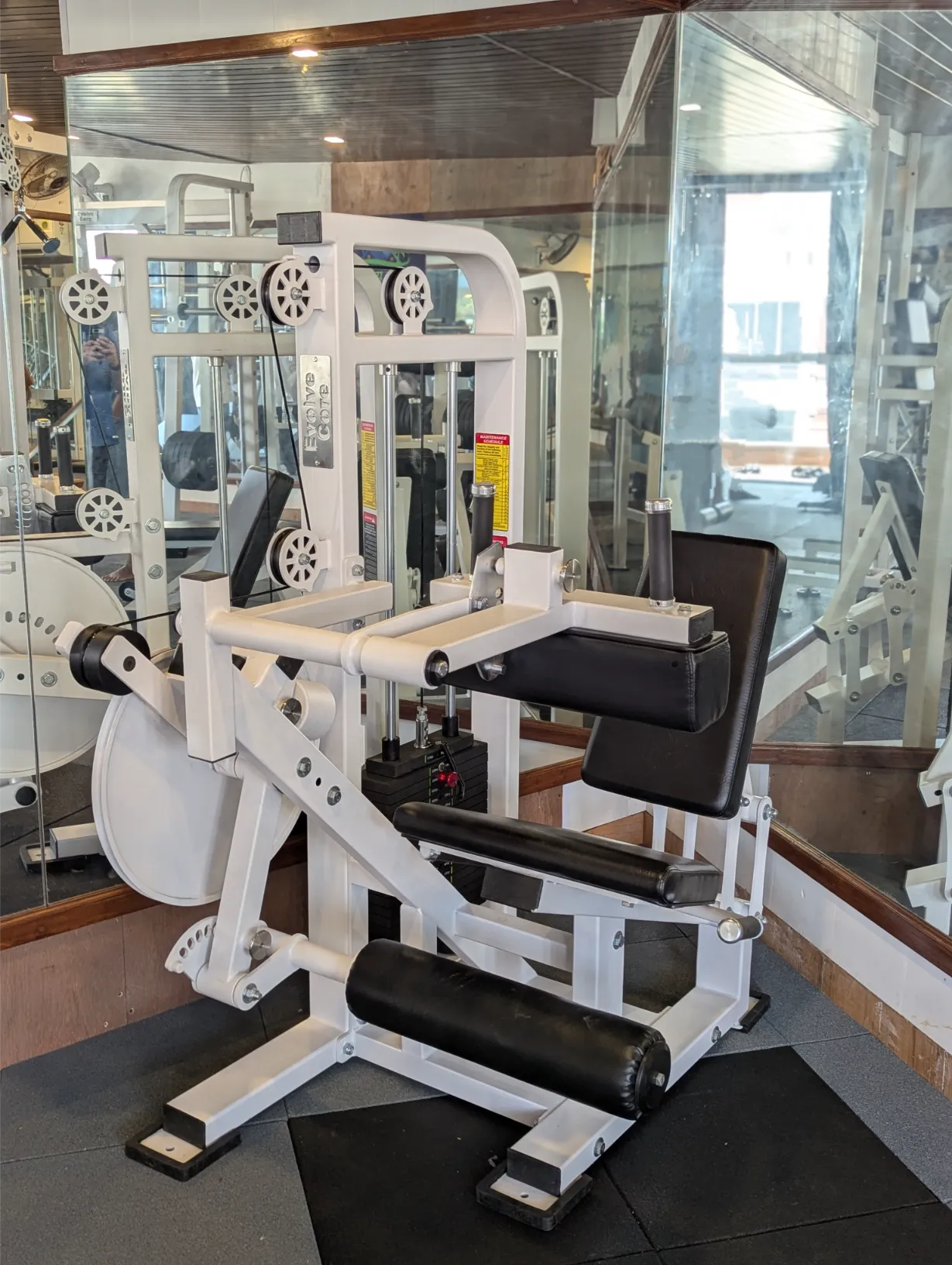Leg Extension or Curl Combo